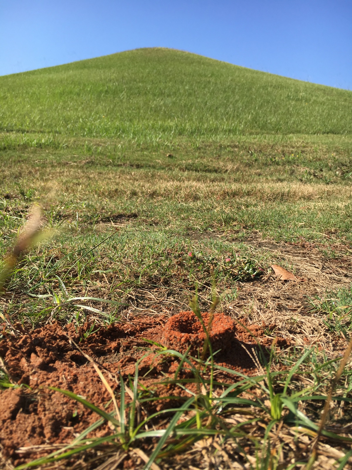 Ant Mound and Earth Lodge.