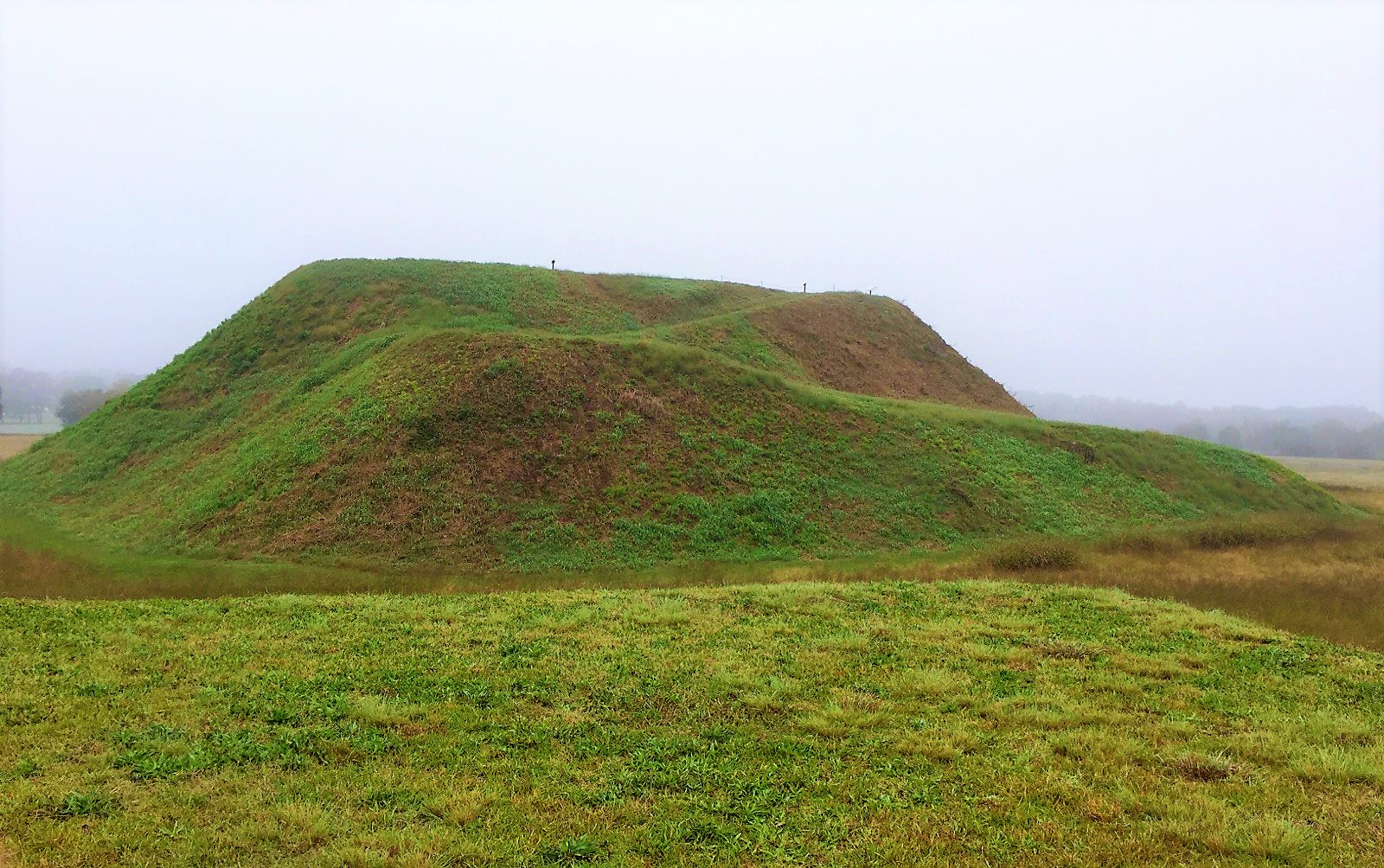 Looking at "Mound A" from the top of "Mound C" at Etowah.