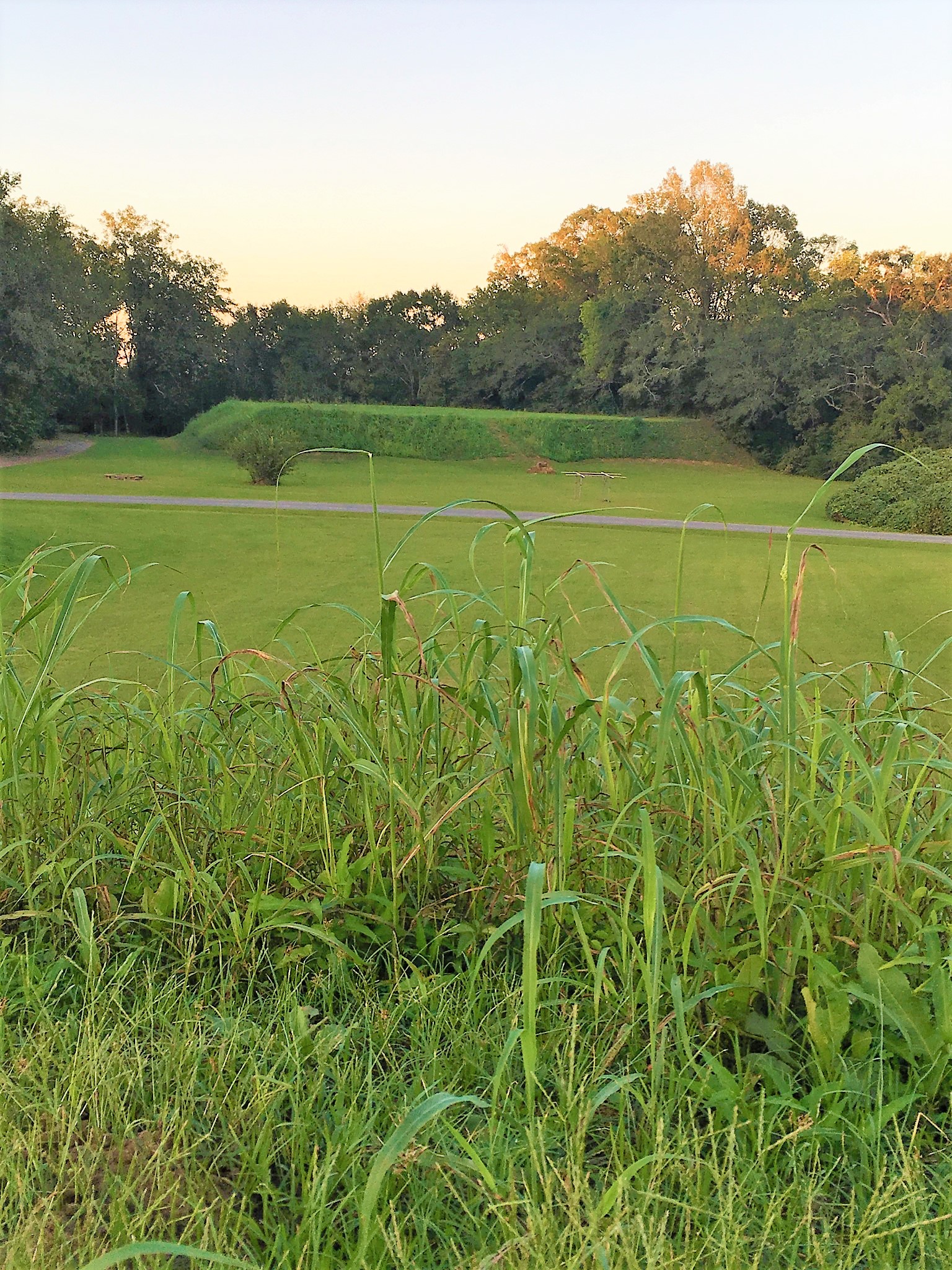 Moundville, Alabama.