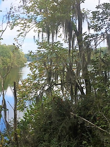 Near Hickory Ground in Alabama.