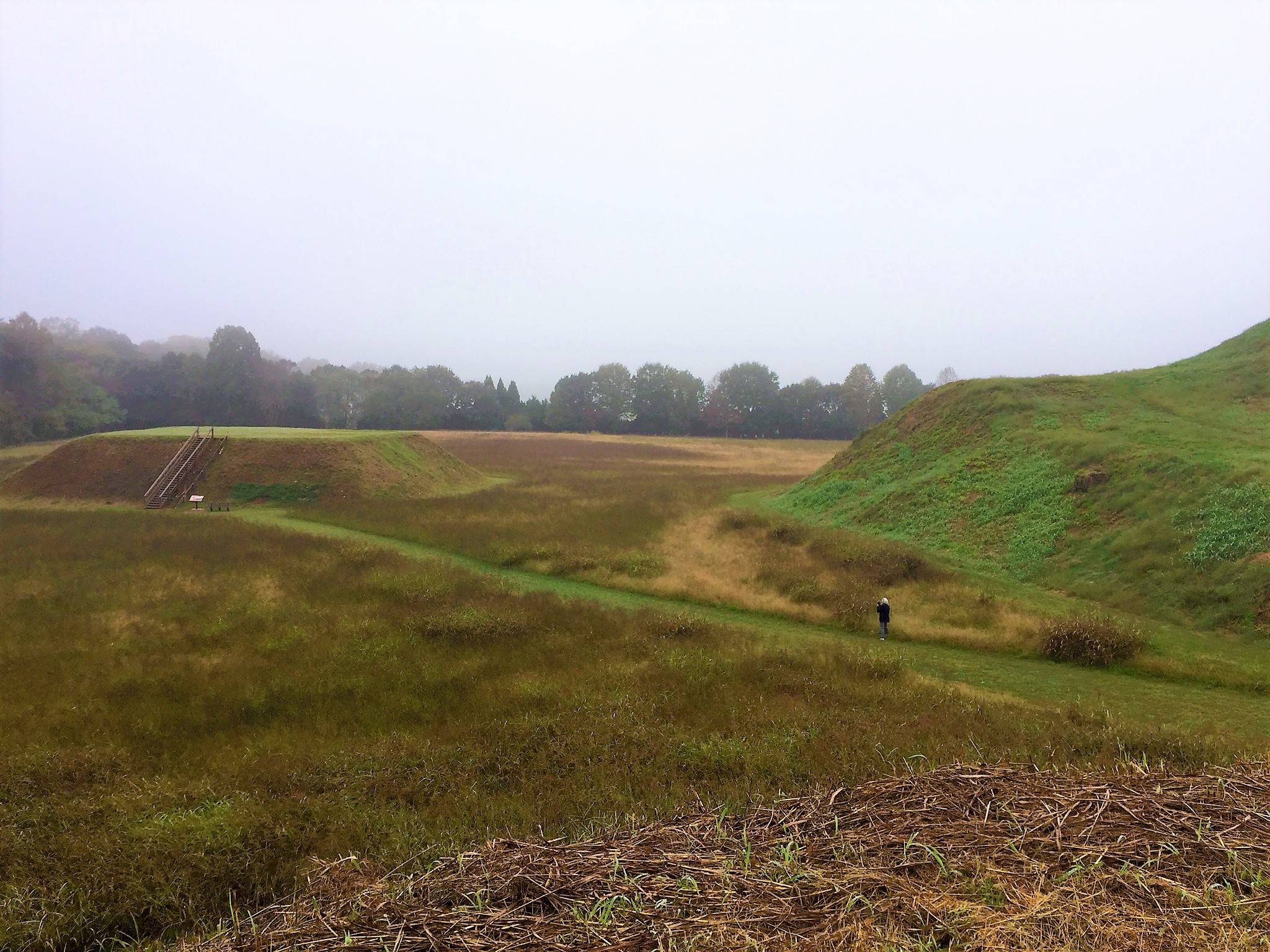 Looking at "Mound C" and the edge of "Mound A" from the top of "Mound 3" at Etowah.