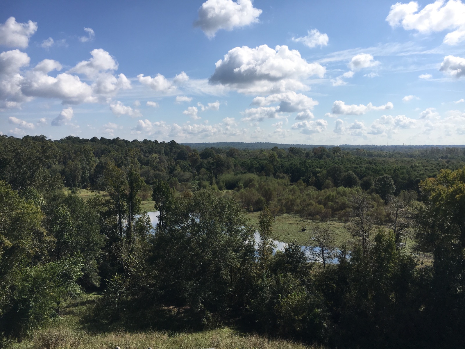 From the top of Temple Mound.